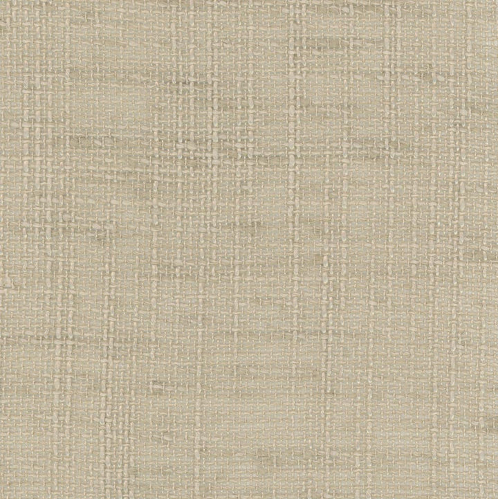 Slow Down Flax by Carole Fabric Come Home 100% Polyester India N/A Horizontal: 0 and Vertical: 0 54 - Fabric Carolina -
