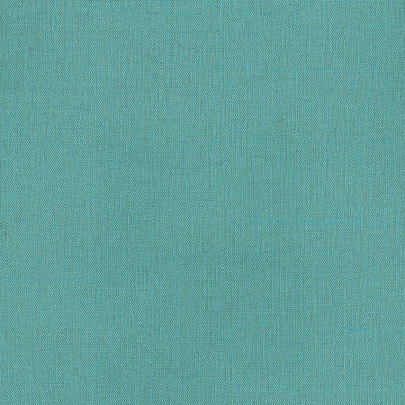 Succulent Cerulean by Carole Fabric Succulent II 100% Polyester India  None 54"  - Fabric Carolina -