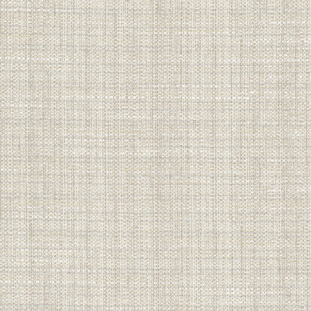 Rock Wall Fog by Carole Designer Fabric Opal 83% Polyester, 12% Cotton, 5% Rayon India N/A </p><p>Repeat: None 55" - Swanky Fabrics -