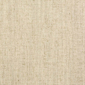 Critic Linen by Carole Fabric
