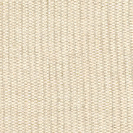 Aerial Flax by Carole Designer Fabric Opal,Toasted Almond 100% Polyester India Passes 50,000 Double Rubs Wyzenbeek None 54" - Swanky Fabrics -