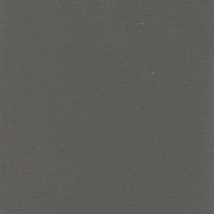 Daydreamer Graphite by Carole Fabric Daydreaming 100% Cotton- Soil Release USA Passes 30,000 Double Rubs Wyzenbeek Horizontal: 0 and Vertical: 0 54 - Fabric Carolina -