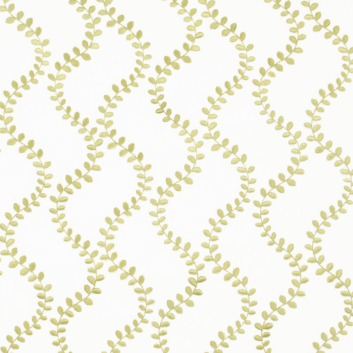 Come To Life Lime by Carole Fabric Lemongrass 100% Cotton India N/A Horizontal: 13 and Vertical: 7.625 52 - Fabric Carolina -
