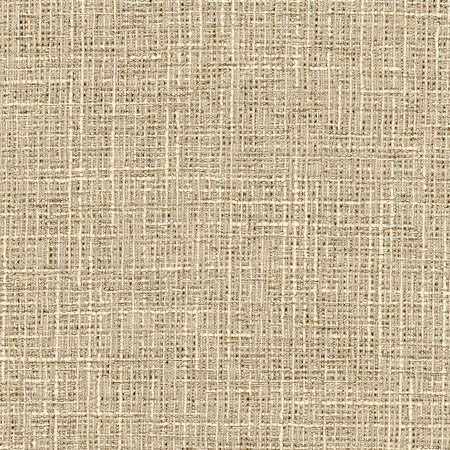 Adjuster Natural by Carole Fabric Toasted Almond 62% Polyester, 32% Cotton, 6% Viscose INDIA 27,000 Wyzenbeek Double Rubs None 54"  - Fabric Carolina -