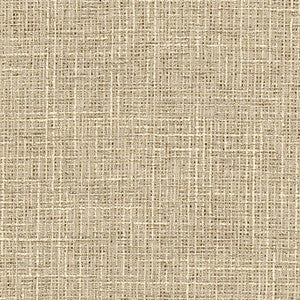 Adjuster Natural by Carole Fabric