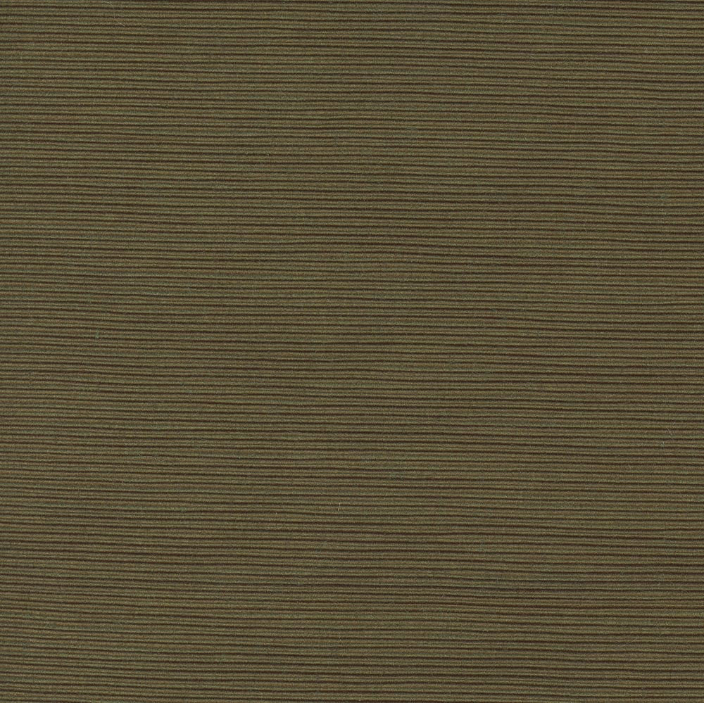 First Novel Pine by Carole Fabric Stationery 72% Rayon, 28% Polyester China Passes 30,000 Double Rubs Wyzenbeek Horizontal: 0 and Vertical: 0 55 - Fabric Carolina -