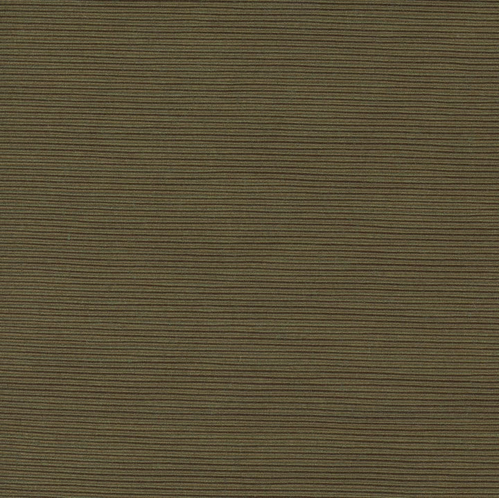First Novel Pine by Carole Fabric Stationery 72% Rayon, 28% Polyester China Passes 30,000 Double Rubs Wyzenbeek Horizontal: 0 and Vertical: 0 55 - Fabric Carolina -