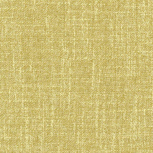 Enthusiasm Cactus by Carole Fabric