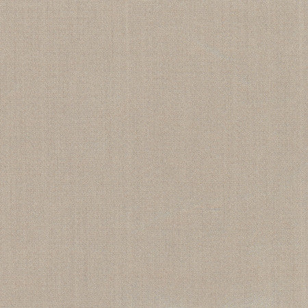 Tempt Silt by Carole Fabric Royale 100% IFR Polyester India Passes 45,000 Double Rubs Wyzenbeek None 54"  - Fabric Carolina -