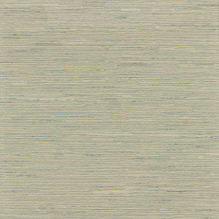 Optimism Aqua by Carole Fabric Synchrony 100% IFR Polyester India 5,000 Wyzenbeek Double Rubs None 54"  - Fabric Carolina -
