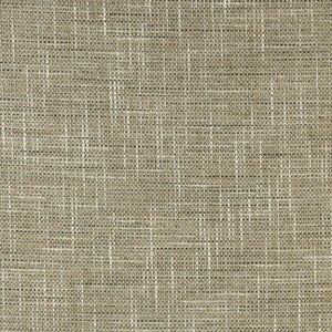 Woodsman Tortoise by Carole Fabric
