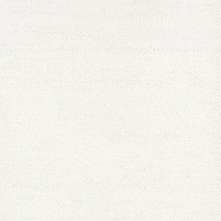 Aiden Off White by Carole Fabric Aiden Gallery,Opal,Subtle Hints 100% Polyester INDIA PASSES 30,000 DOUBLE RUBS WYZENBEEK Horizontal: None and Vertical: None 56" - Fabric Carolina -