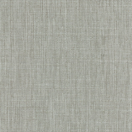Intention Fog by Carole Fabric Head Start 100% Polyester Taiwan 25,000 Wyzenbeek Double Rubs None 54"  - Fabric Carolina -