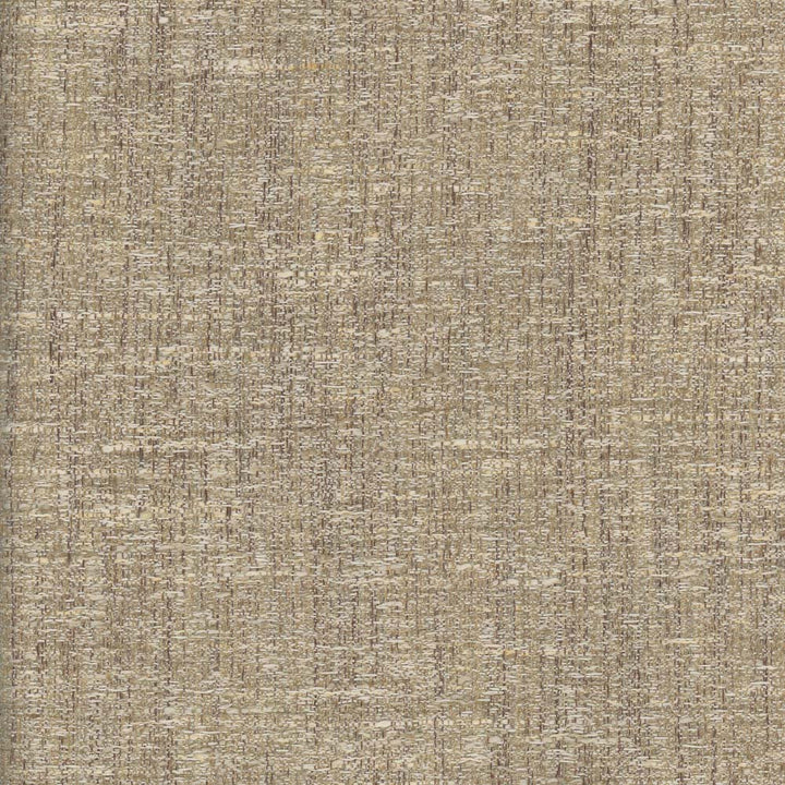 Pop Fly Beige by Carole Fabric Texture Theory 100% Polyester India N/A Horizontal: 0 and Vertical: 0 57 - Fabric Carolina -