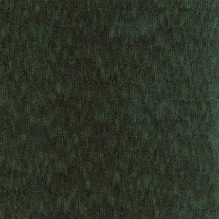 Ahead Of The Game Evergreen by Carole Fabric First Class 100% Polyester CHINA  None 58"  - Fabric Carolina -