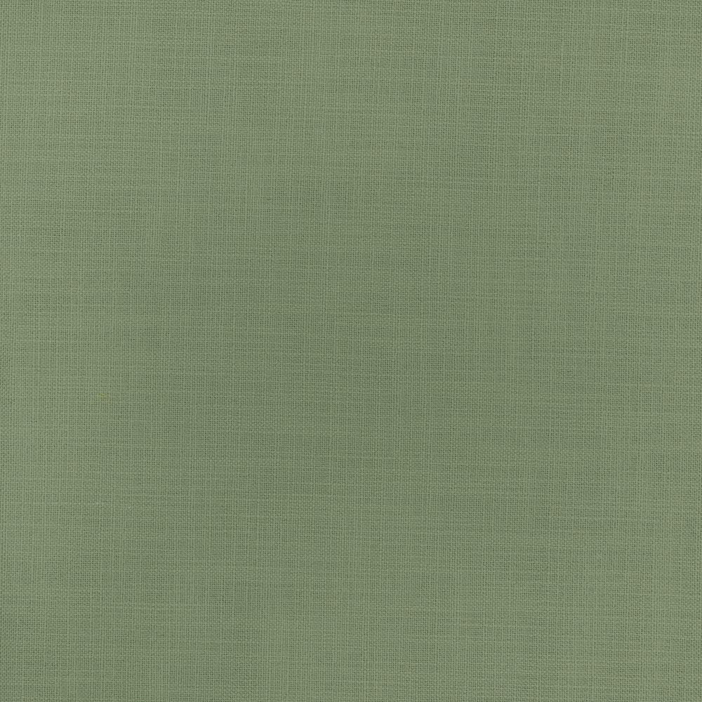 Fundamental Leaf by Carole Fabric Fundamental 100% Polyester Turkey Passes 20,000 Double Rubs Wyzenbeek Horizontal: 0 and Vertical: 0 54 - Fabric Carolina -