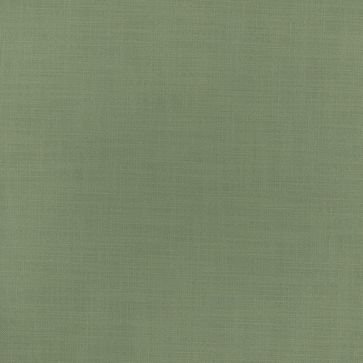 Fundamental Leaf by Carole Fabric Fundamental 100% Polyester Turkey Passes 20,000 Double Rubs Wyzenbeek Horizontal: 0 and Vertical: 0 54 - Fabric Carolina -