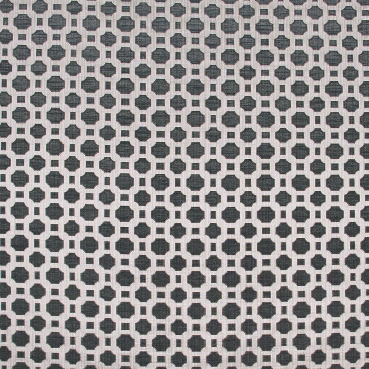Prized Possession Charcoal by Carole Designer Fabric Winner'S Circle 60% Polyester, 40% Cotton India N/A Horizontal: 3 and Vertical: 2875 54 - Swanky Fabrics -