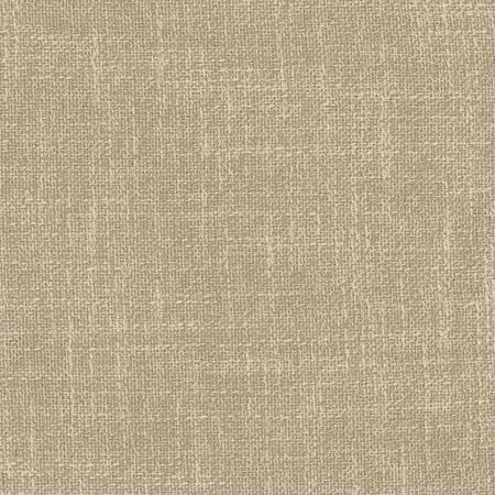 Enthusiasm Hemp by Carole Fabric Toasted Almond 100% Polyester INDIA N/A None 54"  - Fabric Carolina -
