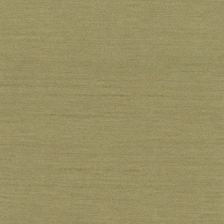Northwind Sage by Carole Designer Fabric New Northwind Iii 100% Polyester India Passes 9,000 Double Rubs Wyznebeek </p><p>Repeat: NONE 54" - Swanky Fabrics -