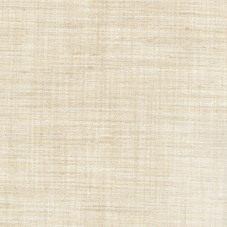 Gear Up Vanilla by Carole Designer Fabric Chestnut 100% Polyester India Passes 30,000 Double Rubs Wyzenbeek None 5475" - Swanky Fabrics -