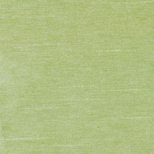 Northwind Dill by Carole Fabric
