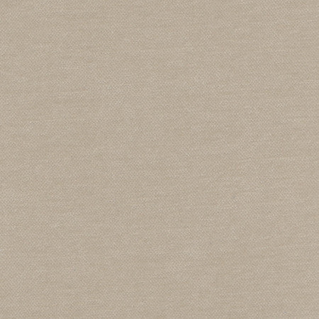 <p>Warm Up Beige by Carole Designer Fabric</p><p><strong>Required Minimum Quantity Purchase: 2 yards</strong></p><p>Book: Warm Embrace</p><p>Content: 100% Polyester</p><p>Origin: </p><p>Performance: N/A</p><p>Repeat: None</p><p>Width: 55""</p>