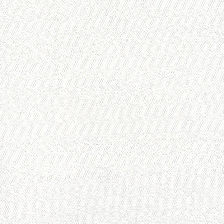 Aiden White by Carole Fabric Opal 100% Polyester India N/A Horizontal: 0 and Vertical: 0 54 - Fabric Carolina -