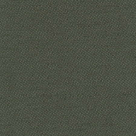 Fact Finder Seaweed by Carole Fabric Celadon 100% Polyester Turkey Passes 40,000 Double Rubs Wyzenbeek Horizontal: None and Vertical: None 59" - Fabric Carolina -