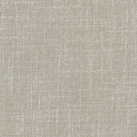 Enthusiasm Metal by Carole Fabric Dove Wing 100% Polyester INDIA  None 54"  - Fabric Carolina -