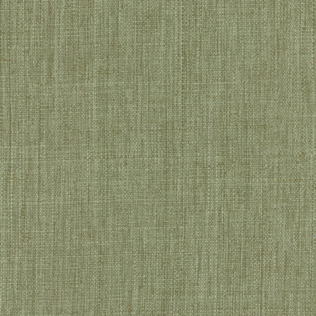 Intention Viridian by Carole Fabric Head Start 100% Polyester Taiwan 25,000 Wyzenbeek Double Rubs None 54"  - Fabric Carolina -