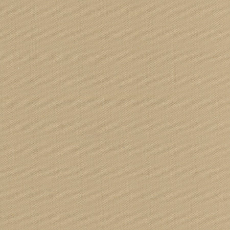 Daydreamer Khaki by Carole Fabric Daydreamer III,Daydreaming 100% Cotton, Soil & Stain Release TURKMENISTAN Passes 30,000 Double Rubs Wyzenbeek </p><p>Repeat: NONE 54" - Fabric Carolina -