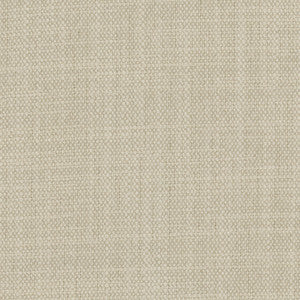 Brookings Silver by Carole Fabric