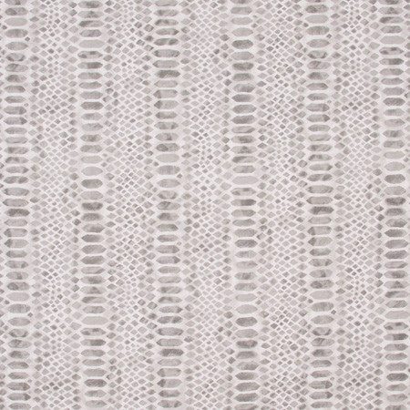 Constrictor Pewter by Carole Fabric Jungle Safari 100% Cotton Spain Passes 16,000 Circular Rubs Martindale Horizontal: 27" and Vertical: 25" V 54" - Fabric Carolina -