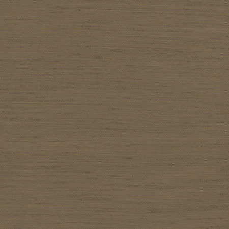 Rumi Chestnut by Carole Fabric Gala 100% Polyester India  None 54"  - Fabric Carolina -
