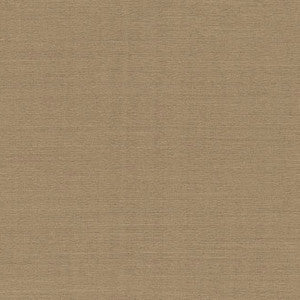 Distinct II Taupe by Carole Fabric