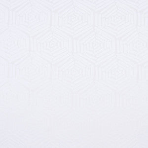 Pace Oneself Snow by Carole Fabric