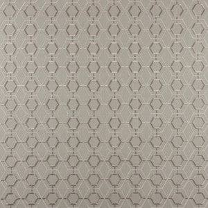 Magnetic Pull Fog by Carole Fabric