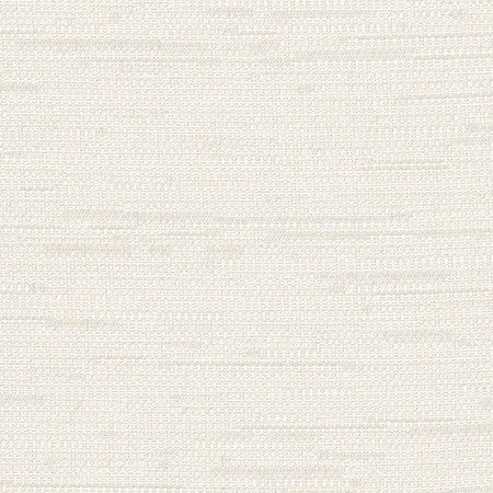 Cliff Top Alabaster by Carole Fabric Excursion 66% Polyester, 34% Cotton India  None 56"  - Fabric Carolina -