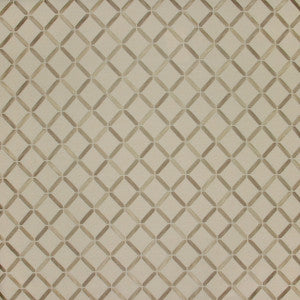 Defining Essence Dune by Carole Fabric