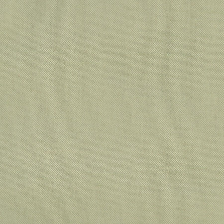 Fleeting Basil by Carole Fabric Royale 100% Polyester India Passes 50,000 Double Rubs Wyzenbeek </p><p>Repeat: None 54" - Fabric Carolina -