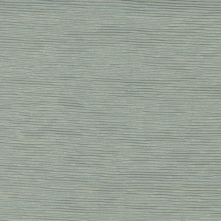 First Novel Dew by Carole Fabric Stationery 72% Rayon, 28% Polyester China Passes 30,000 Double Rubs Wyzenbeek Horizontal: 0 and Vertical: 0 55 - Fabric Carolina -