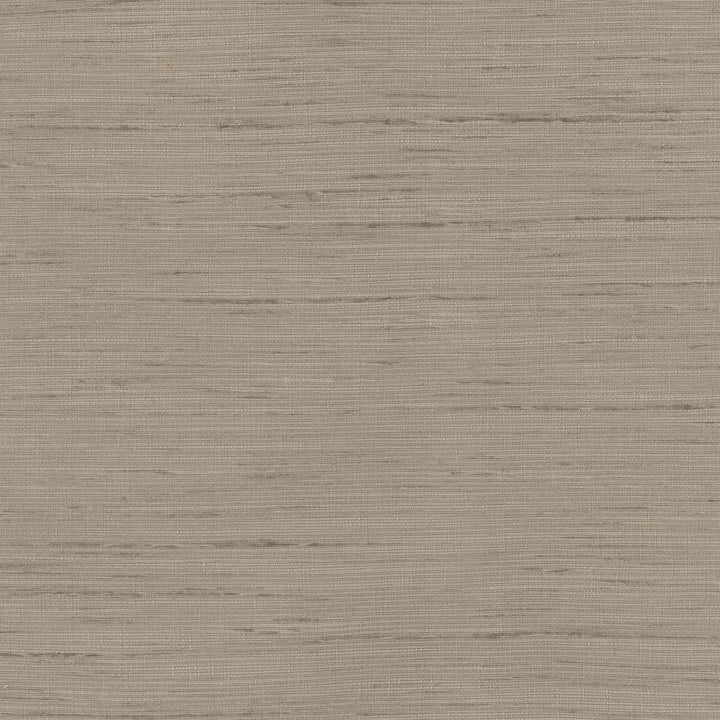 So Far Cocoa by Carole Fabric Texture Theory 100% Polyester India N/A Horizontal: 0 and Vertical: 0 55 - Fabric Carolina -