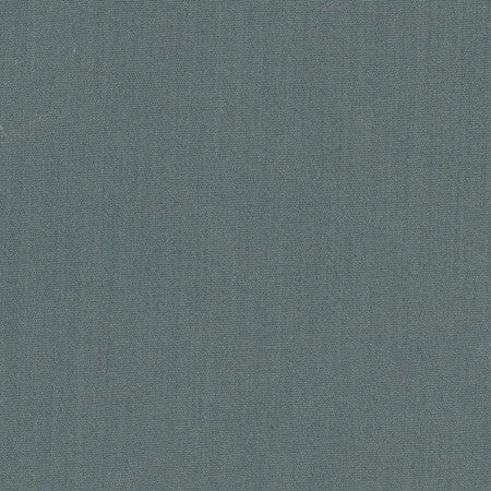 Tempt Graphite by Carole Designer Fabric Royale 100% IFR Polyester India Passes 45,000 Double Rubs Wyzenbeek Horizontal: None and Vertical: None 54" - Swanky Fabrics -