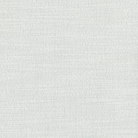 Say Yes Frost by Carole Fabric WINNER'S CIRCLE 78% Polyester, 22% Viscose India N/A Horizontal: 0" and Vertical: 0" 55" - Fabric Carolina -
