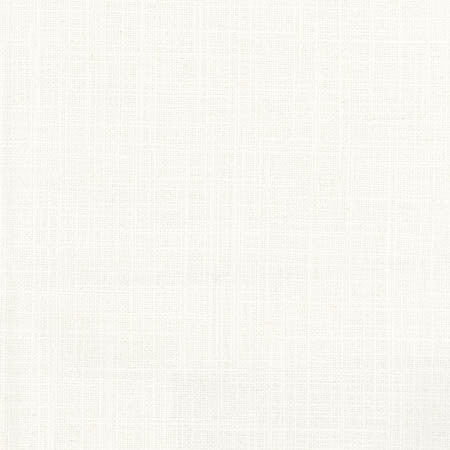Sheriff Oyster by Carole Designer Fabric Arlyn,Dove Wing 36% Cotton, 30% Polyester, 17% Viscose, 17% Linen INDIA None 54" - Swanky Fabrics -