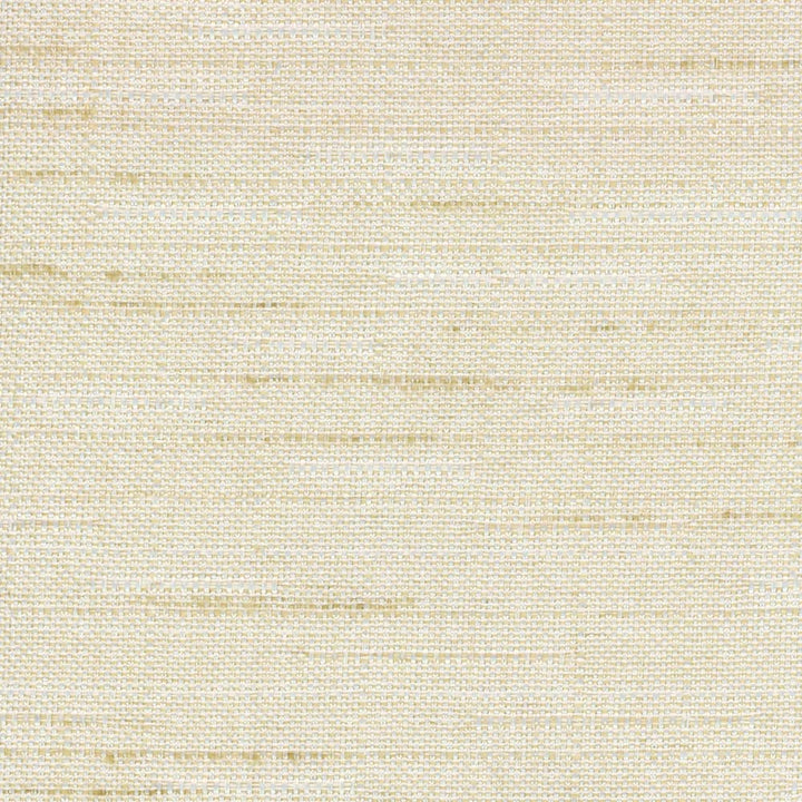 Banksville Beach by Carole Fabric Bigelow 100% Polyester Mexico Passes 18,000 Double Rubs Wyzenbeek Horizontal: 0 and Vertical: 0 54 - Fabric Carolina -