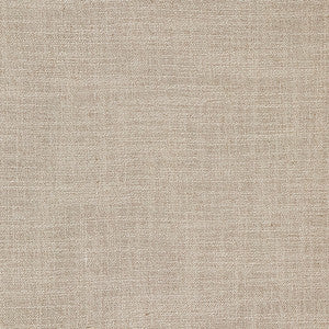 Resourceful Taupe by Carole Fabric