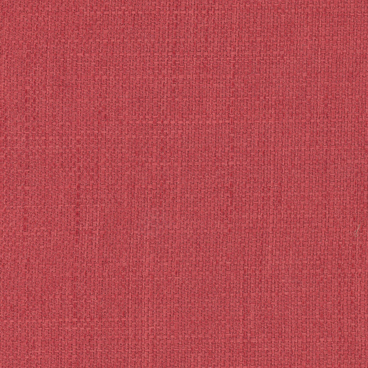 Commencement Fruit Punch by Carole Fabric Commencement 100% Polyester-SSWR, Anti-Microbial Taiwan 50,000 Wyzenbeek Double Rubs Horizontal: 0 and Vertical: 0 56 - Fabric Carolina -