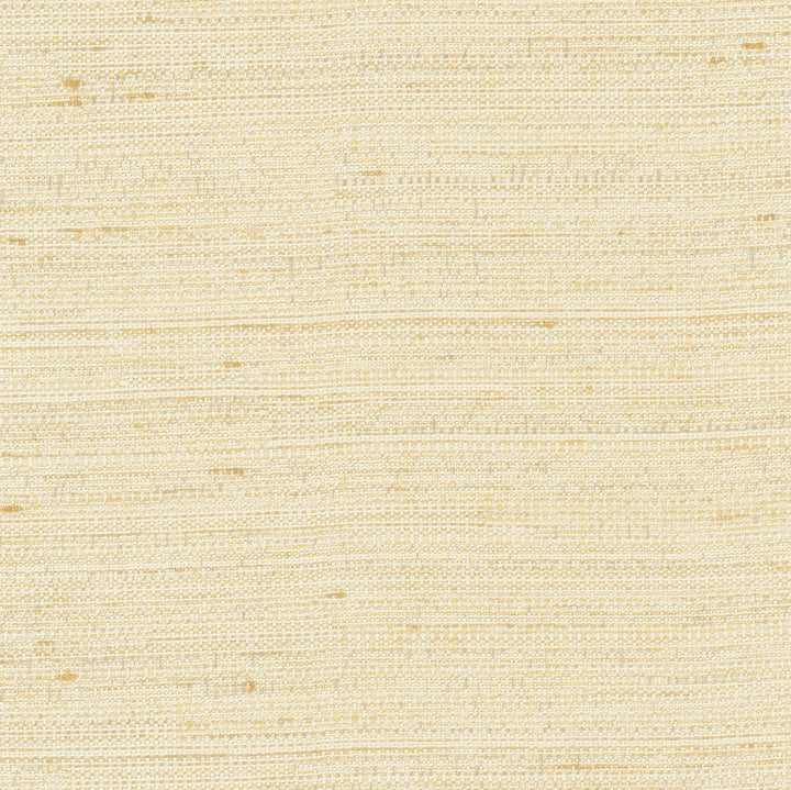 Aiden Champagne by Carole Fabric Chestnut 100% Polyester India N/A Horizontal: 0 and Vertical: 0 54 - Fabric Carolina -